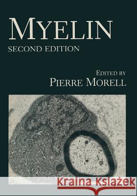 Myelin P. Morell 9781475718324 Springer - książka