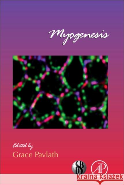 Myogenesis: Volume 96 Pavlath, Grace 9780123859402 Academic Press - książka