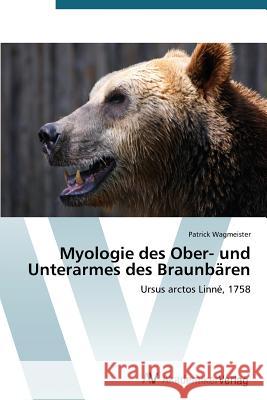 Myologie des Ober- und Unterarmes des Braunbären Wagmeister Patrick 9783639721720 AV Akademikerverlag - książka