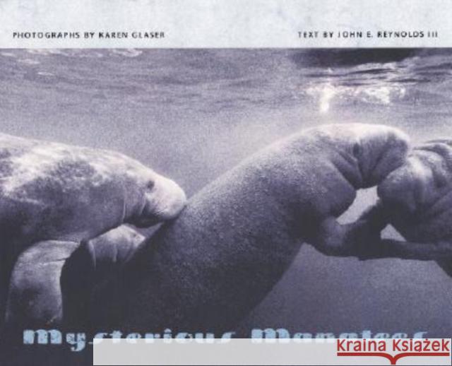 Mysterious Manatees Karen Glaser John Elliott, III Reynolds Karen Glaser 9780813026374 University Press of Florida - książka