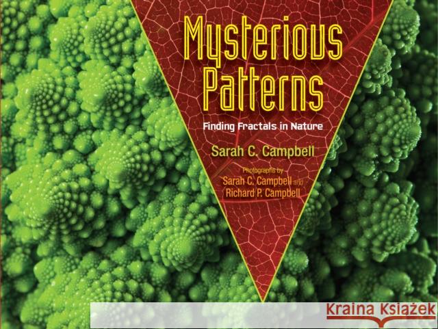 Mysterious Patterns: Finding Fractals in Nature Sarah C. Campbell Richard P. Campbell 9781662620416 Astra Publishing House - książka