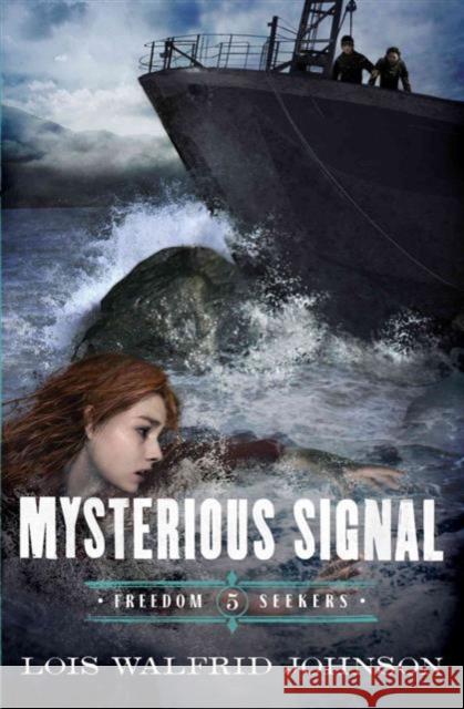 Mysterious Signal: Volume 5 Johnson, Lois Walfrid 9780802407207 River North - książka