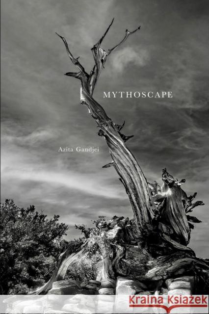 Mythoscape: A Different World Azita Gandjei 9781954119376 Daylight Books - książka