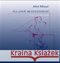 Na dně rozednění Aleš Misař 9788090689527 Kampe - książka