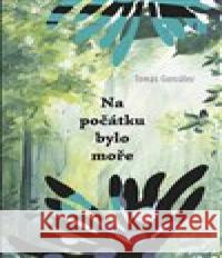 Na počátku bylo moře Tomás González 9788074382055 Dybbuk - książka