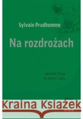 Na rozdrożach Sylvain Prudhomme 9788367029803 Wydawnictwo Nowe - książka