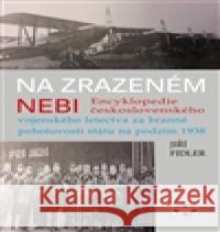 Na zrazeném nebi Jiří Fidler 9788072775323 Libri - książka