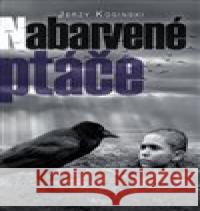 Nabarvené ptáče Jerzy Kosinski 9788025729007 Argo - książka