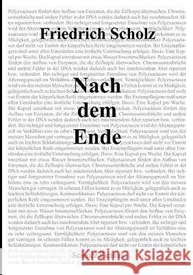 Nach dem Ende Friedrich Scholz 9783833483684 Books on Demand - książka