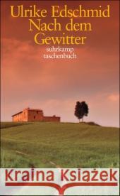 Nach dem Gewitter Edschmid, Ulrike 9783518399811 Suhrkamp - książka