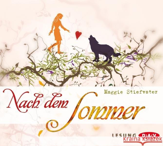 Nach dem Sommer, 6 Audio-CDs Stiefvater, Maggie 9783898139793 Der Audio Verlag, DAV - książka