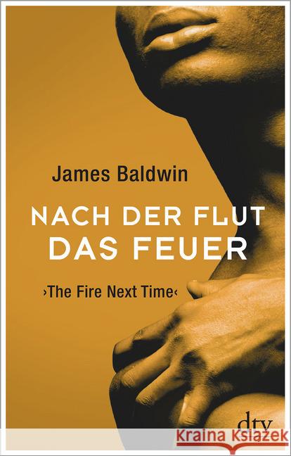 Nach der Flut das Feuer : The Fire Next Time Baldwin, James 9783423147361 DTV - książka