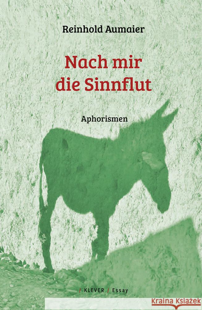 Nach mir die Sinnflut Aumaier, Reinhold 9783903110908 Klever - książka