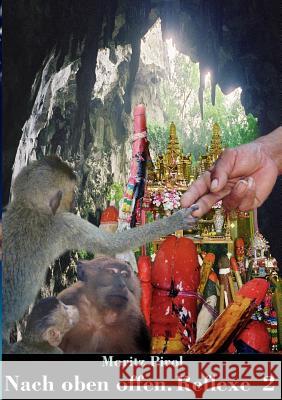 Nach oben offen. Reflexe 2: Notizen Pirol, Moritz 9783938647042 Hanno Lunin - książka