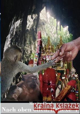 Nach oben offen. Reflexe 7: Tagebuchnotizen Moritz Pirol 9783938647080 Hanno Lunin - książka