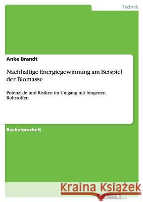 Nachhaltige Energiegewinnung am Beispiel der Biomasse: Potenziale und Risiken im Umgang mit biogenen Rohstoffen Brandt, Anke 9783656433385 Grin Verlag - książka