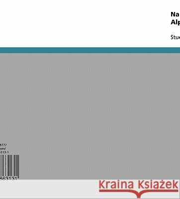 Nachhaltige Verkehrsentwicklung im Alpenraum Martin Trodler 9783638863131 Grin Verlag - książka
