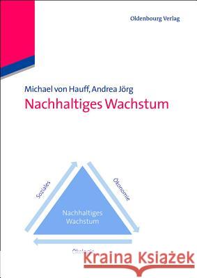 Nachhaltiges Wachstum Michael Von Hauff, Andrea Jörg 9783486718034 Walter de Gruyter - książka