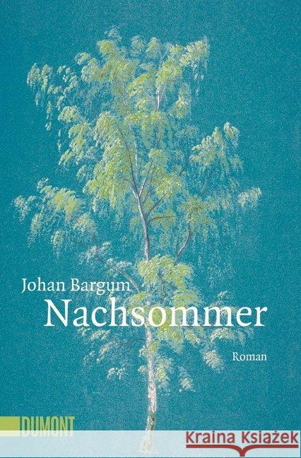 Nachsommer : Roman Bargum, Johan 9783832164768 DuMont Buchverlag - książka