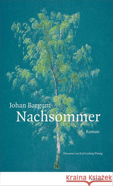 Nachsommer : Roman Bargum, Johan 9783866482609 mareverlag - książka