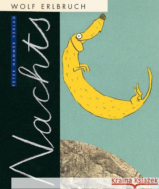 Nachts : Sonderausgabe im Großformat Erlbruch, Wolf 9783779506034 Peter Hammer Verlag - książka