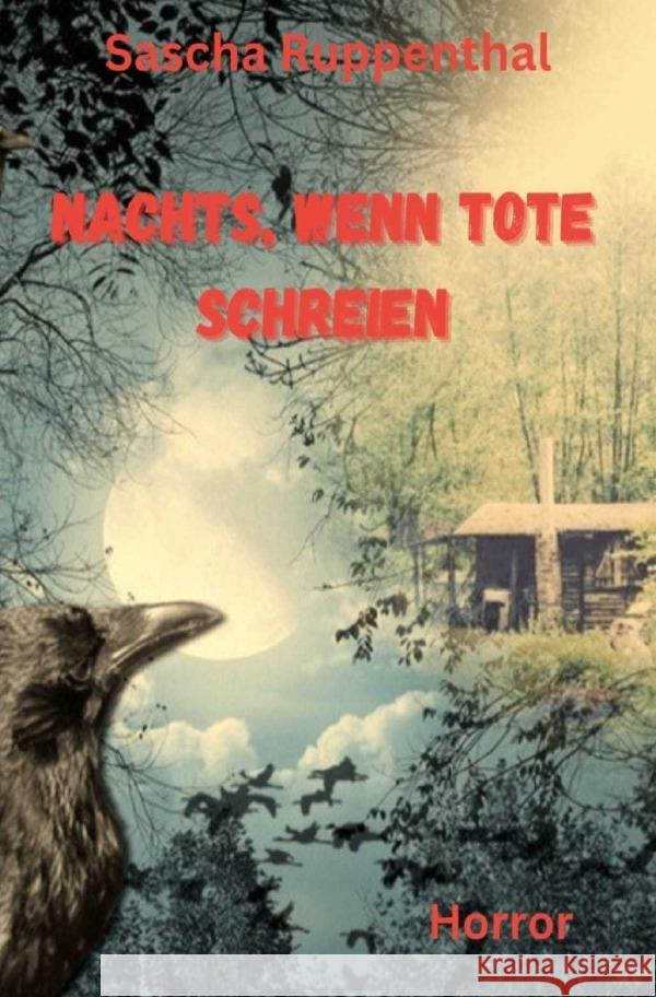Nachts wenn Tote schreien Ruppenthal, Sascha 9783565014897 epubli - książka