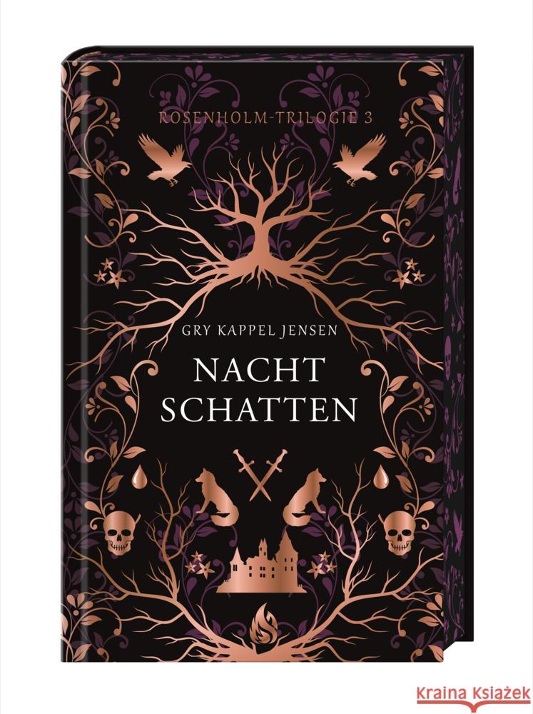 Nachtschatten - Rosenholm-Trilogie (3) Jensen, Gry Kappel 9783038800729 Arctis Verlag - książka