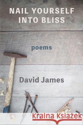 Nail Yourself Into Bliss David James 9781950462391 Kelsay Books - książka