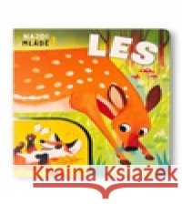 Najdi mládě Les Mel Matthews 9788025640166 Svojtka & Co. - książka