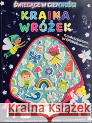 Naklejki świecące w ciemnościach Kraina wróżek praca zbiorowa 9788367058247 MD Creative - książka