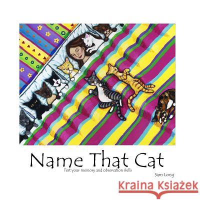 Name That Cat: Test your memory and observation skills Long, Sam 9781482538472 Createspace - książka