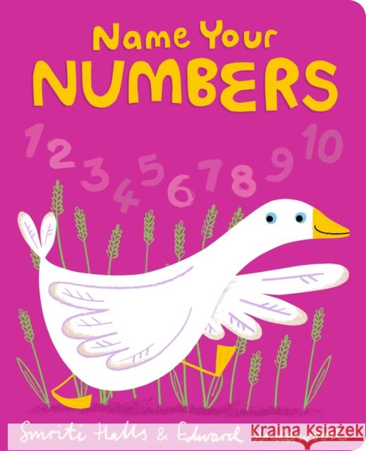 Name Your Numbers: The ideal first board book of numbers for little ones learning to count Smriti Halls 9781406387827 Walker Books Ltd - książka