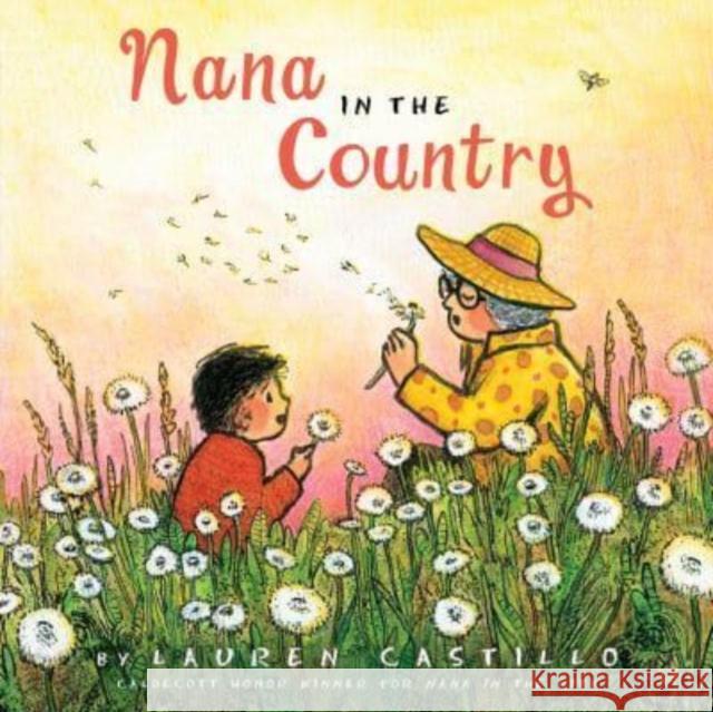 Nana in the Country Lauren Castillo 9780544102170 Clarion Books - książka