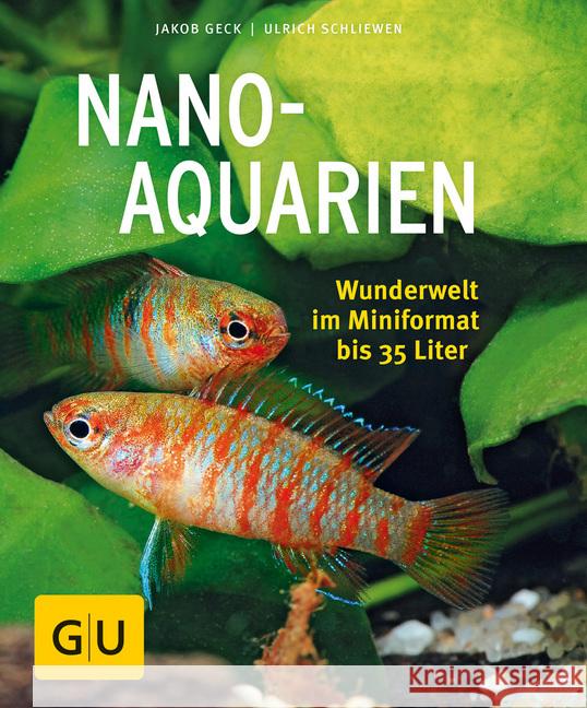 Nano-Aquarien : Wunderwelt im Mini-Format bis 35 Liter Geck, Jakob; Schliewen, Ulrich 9783833855160 Gräfe & Unzer - książka