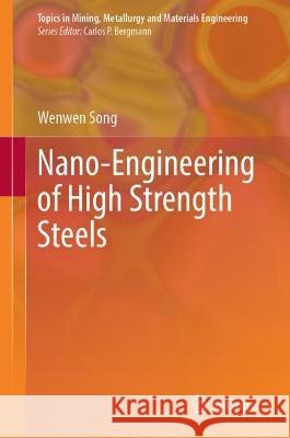 Nano-Engineering of High Strength Steels Wenwen Song 9783031429668 Springer - książka