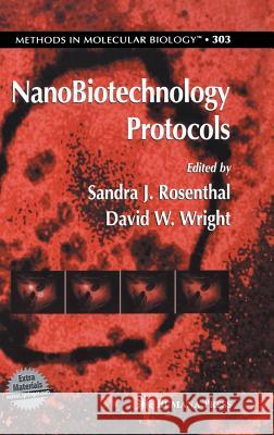 Nanobiotechnology Protocols Rosenthal, Sandra J. 9781588292766 Humana Press - książka