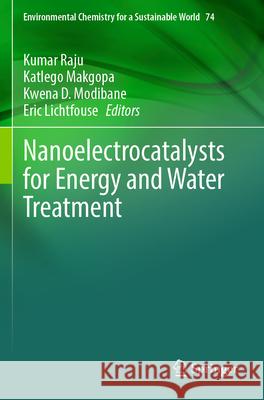 Nanoelectrocatalysts for Energy and Water Treatment  9783031553318 Springer Nature Switzerland - książka