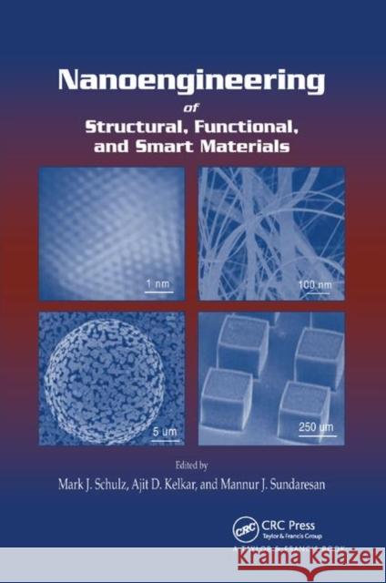 Nanoengineering of Structural, Functional and Smart Materials Mark J. Schulz Ajit D. Kelkar Mannur J. Sundaresan 9780367392185 CRC Press - książka