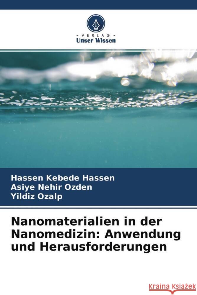 Nanomaterialien in der Nanomedizin: Anwendung und Herausforderungen Hassen, Hassen Kebede, Ozden, Asiye Nehir, Ozalp, Yildiz 9786204423913 Verlag Unser Wissen - książka