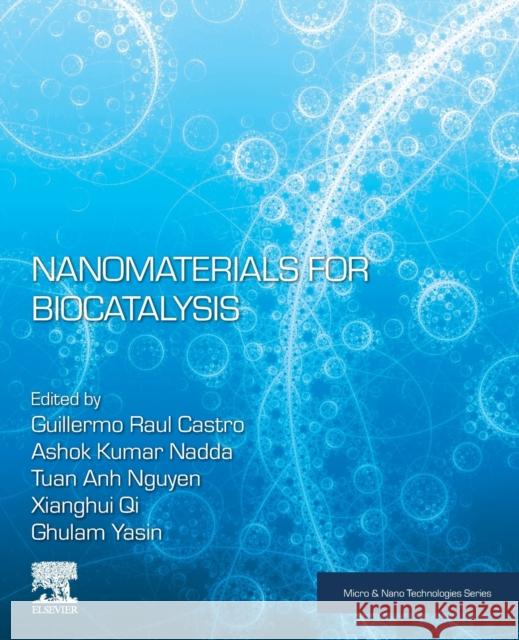 Nanomaterials for Biocatalysis Guillermo R. Castro Ashok Kumar Tuan Anh Nguyen 9780128244364 Elsevier - książka