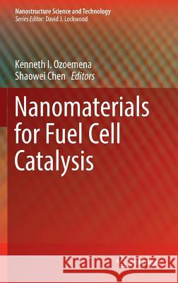 Nanomaterials for Fuel Cell Catalysis Kenneth Ozoemena Shaowei Chen 9783319262499 Springer - książka