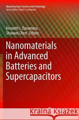 Nanomaterials in Advanced Batteries and Supercapacitors  9783319798929 Springer - książka