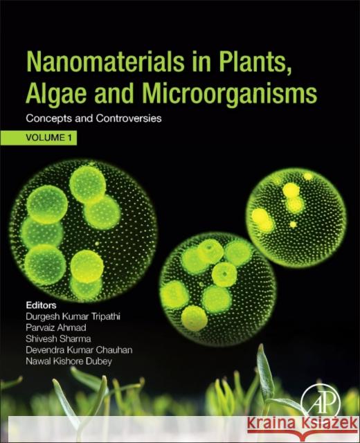 Nanomaterials in Plants, Algae, and Microorganisms: Concepts and Controversies: Volume 1 Parvaiz Ahmad Ashok K. Singh 9780128114872 Academic Press - książka