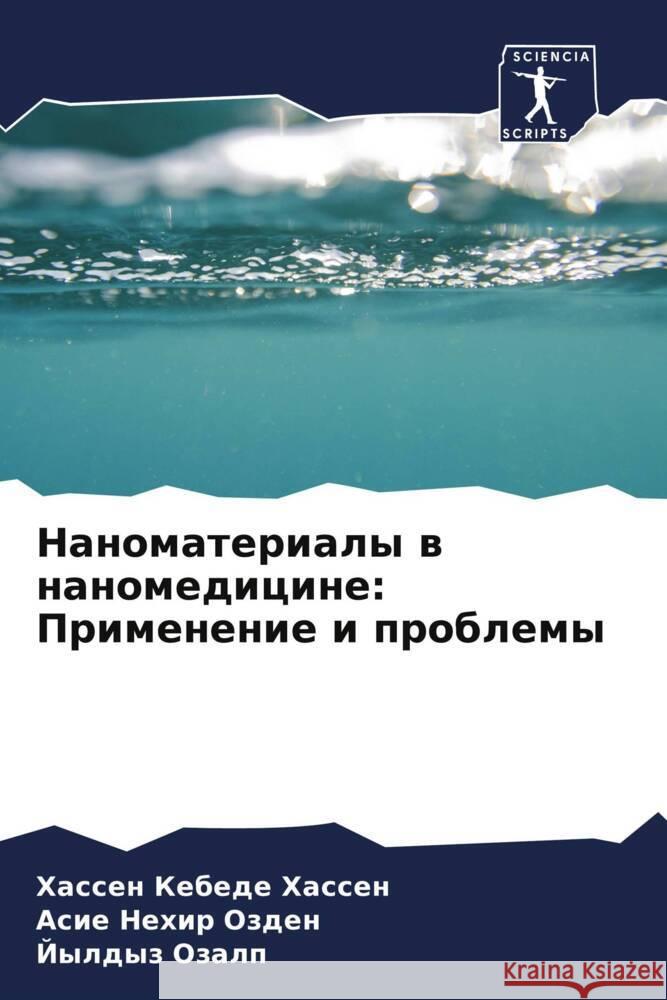 Nanomaterialy w nanomedicine: Primenenie i problemy Hassen, Hassen Kebede, Ozden, Asie Nehir, Ozalp, Jyldyz 9786204423968 Sciencia Scripts - książka