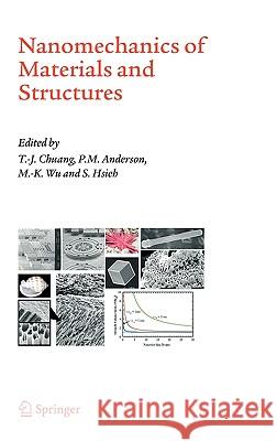Nanomechanics of Materials and Structures Tze-Jer Chuang P. M. Anderson M. -K Wu 9781402039508 Springer - książka