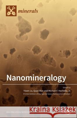 Nanomineralogy Yiwen Ju Quan Wan Michael F. Hochella 9783039365999 Mdpi AG - książka