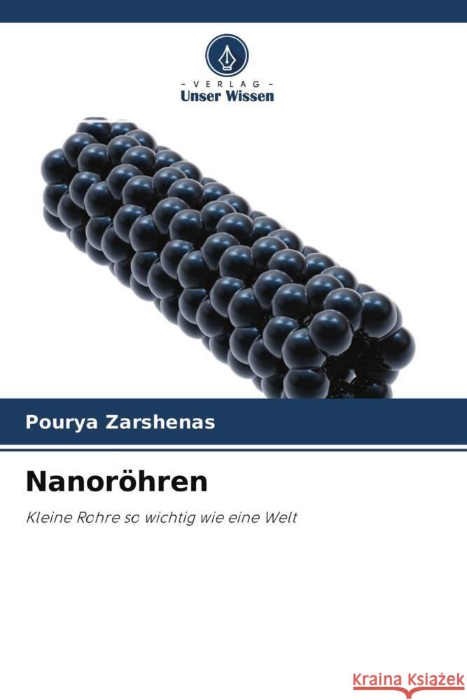 Nanoröhren Zarshenas, Pourya 9786204700007 Verlag Unser Wissen - książka