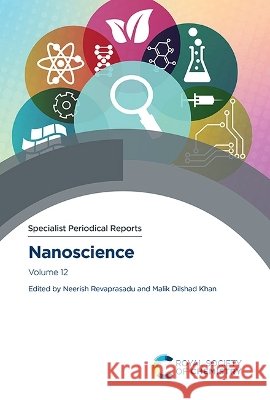 Nanoscience: Volume 12 Revaprasadu, Neerish, Khan, Malik Dilshad 9781837073207 Royal Society of Chemistry - książka