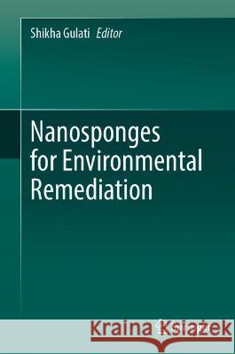 Nanosponges for Environmental Remediation   9783031410765 Springer Nature Switzerland - książka