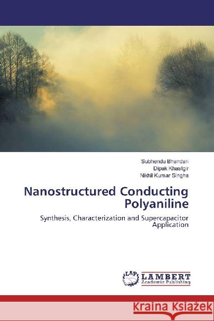 Nanostructured Conducting Polyaniline : Synthesis, Characterization and Supercapacitor Application Bhandari, Subhendu; Khastgir, Dipak; Singha, Nikhil Kumar 9783659921353 LAP Lambert Academic Publishing - książka